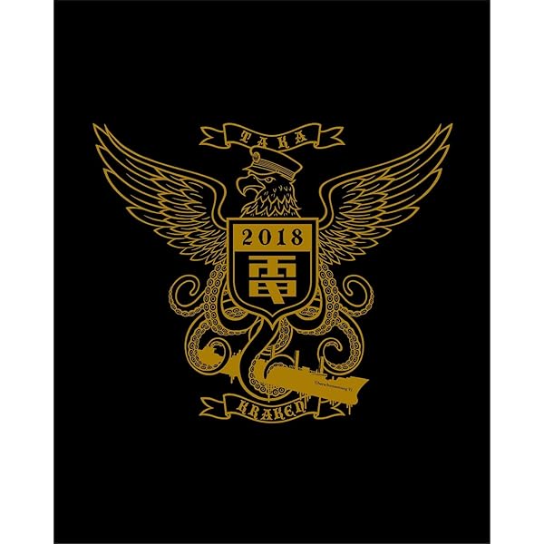 電気グルーヴ　Blu-ray 稀少品 電気グルーヴ / 虹 | FISH FOR RECORDS