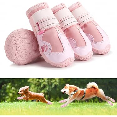 Amazon.co.jp 最新リリース: 犬用ブーツ の新着ランキングです。