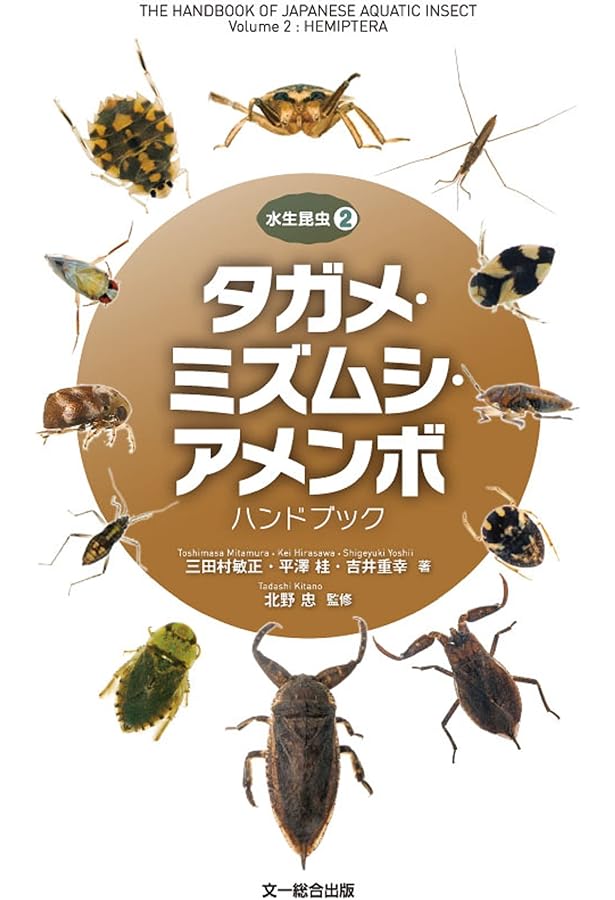 ゲンゴロウ・ガムシ・ミズスマシハンドブック (水生昆虫1) | 三田村