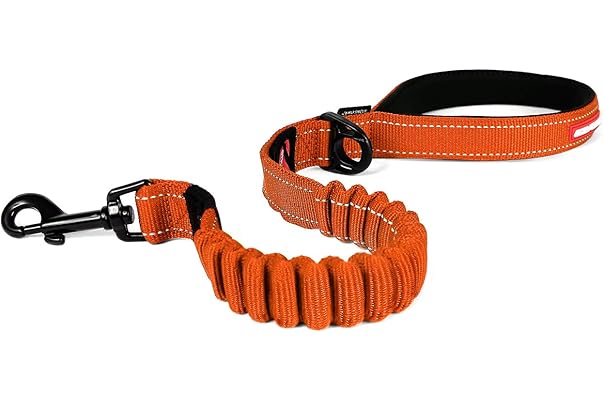 best dog leash amazon