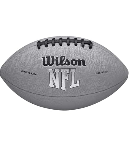 Amazon | NFL 32チームカラーロゴ ミニフットボール | Wilson
