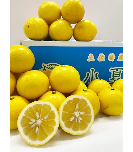 ㉜高知特産 露地栽培 土佐文旦 4L限定 文旦 約20kg 大玉 サイズ 大玉限定☆ご家庭用 高知特産土佐文旦 4L〜3Lサイズ13〜18玉入り約10