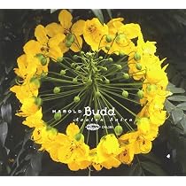 Amazon.co.jp: Avalon Sutra: Music