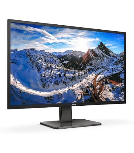 Philips Brilliance 438P1 108cm (42.5