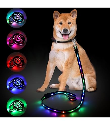 Amazon | 【トイプー2匹の愛犬家監修】 光るリード 『5分充電で90分