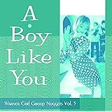 ア・ボーイ・ライク・ユー~ワーナー・ガール・グループ・ナゲッツ Vol.5