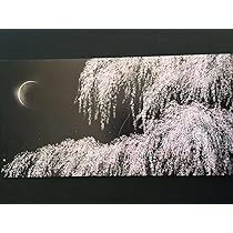 千住博、【 樹の声を聴く】、希少な画集画、新品高級額 額装付、状態良好 千住 博、楽園について、超希少額装用画版、新品額装付 - メルカリ