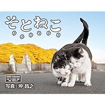 カレンダー2026 そとねこ（月めくり/壁掛け/600mm×380mm