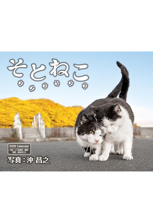 まちかどの猫カレンダー 2026（壁掛け） ([カレンダー]) | 阪 靖之 |本