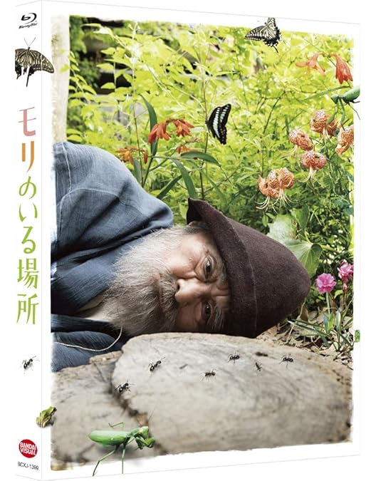 日日是好日 豪華版 [Blu-ray] Amazon.co.jp: 日日是好日 豪華版 [Blu-ray] : 黒木華, 樹木希林