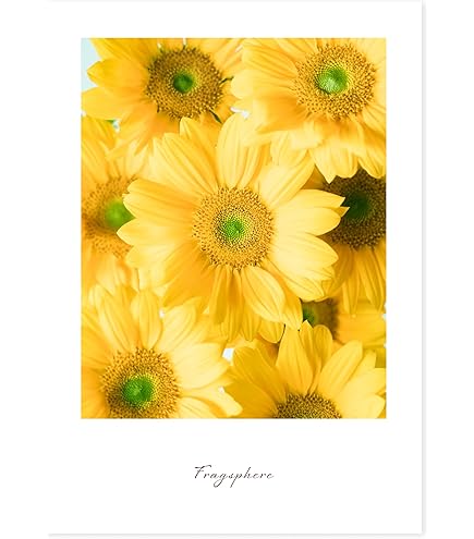 Amazon.co.jp: 地獄楽 複製原画 当選 懸賞 ポスター 天仙 菊花 桃花