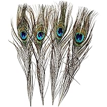 Amazon | CDC 1g ［001-Fe-39］グレイ【メール便発送】フライ