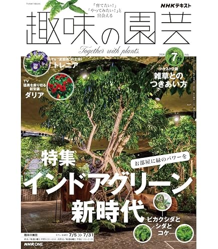 Amazon.co.jp: セラミス グラニュー 室内園芸用土 約7.5L(3kg) : DIY