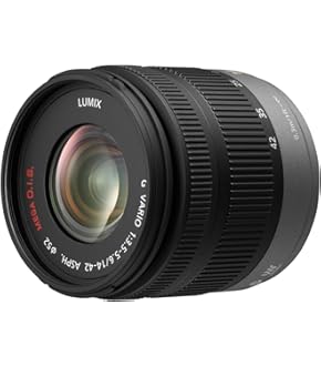 Panasonic LUMIX DMC-G8 ミラーレス一眼カメラ LUMIX DMC-G8 | カメラボディーを探す | フォーサーズ＆マイクロ