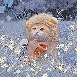 犬 猫用ウィッグ ペット用帽子 ライオン 猫被り物 可愛いペット用 ウィッグ 犬 猫用帽子 コスプレキャップ 変身 ハロウィン クリスマス 調節可能 着脱簡単 ライオン 変身 着ぐるみ 帽子 かつら