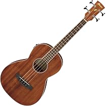 Amazon | Ibanez アイバニーズ エレアコベース パーラー オープン 