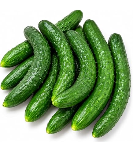 Amazon.co.jp: 大内ファーム 農家直送 もぎたて新鮮きゅうり A級品 2kg