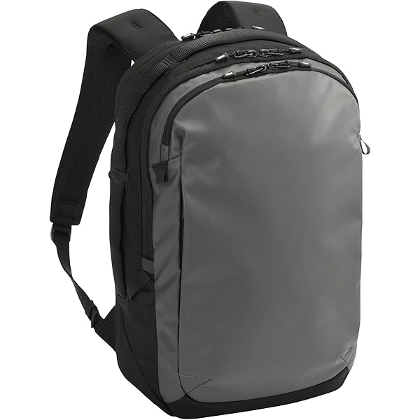 Amazon.co.jp: [エースジーン] ラグレンティスヘザー A4