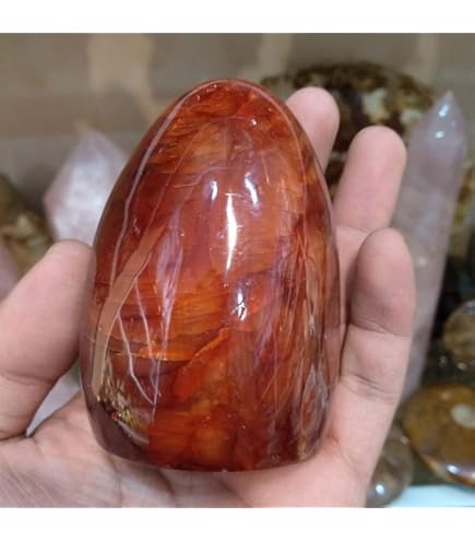 Amazon.co.jp: 【石流通センター】【置き石】カワイイぷっくり