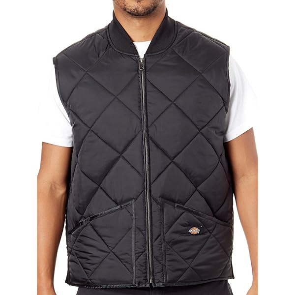 Amazon | Carhartt メンズ ビッグ&トールサイズダックベスト