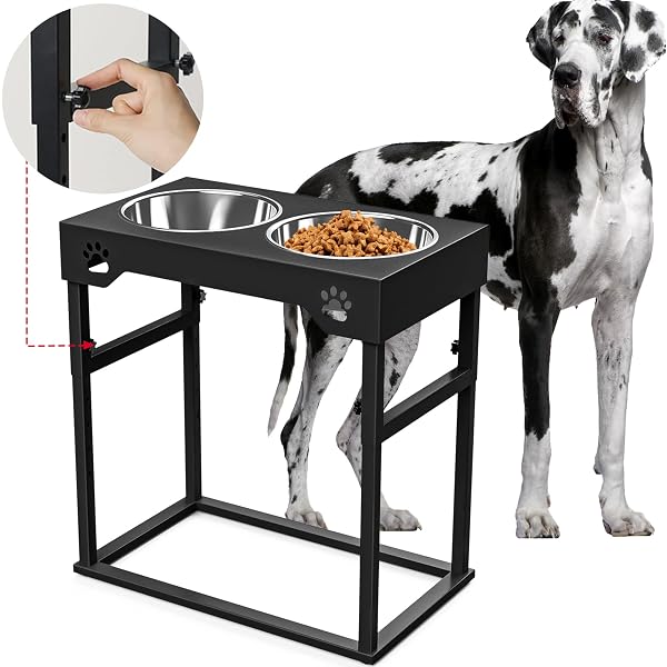 elevated dog table