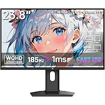Amazon.co.jp: KTC 24インチ ゲーミングモニター WQHD(2560x1440) Fast