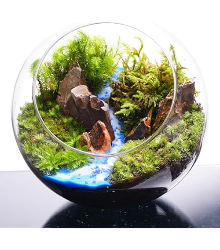 Amazon｜【charm】（観葉植物）苔テラリウム 鉱石レイアウト