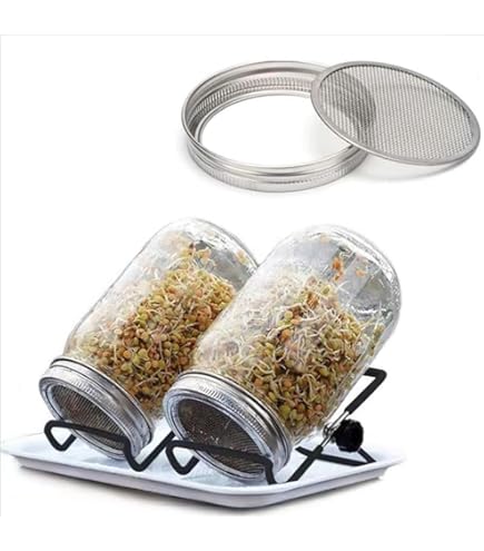 Amazon.co.jp: マイコン電気発芽器 発芽美人 HP-70 ライトグレー : DIY