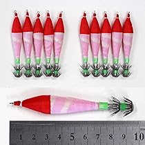 エギ、浮きスッテ、鉛スッテ48個セット Amazon | 釣具 仕掛け 浮きスッテ 3.0号(約9.3cm)夜光 1色 10本