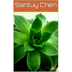 The Secret of Salinem - CHAPTER 1-3 (English Edition)