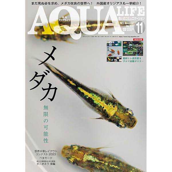 AQUA LIFE 2020年5月号・11月号 アクアライフ 11月号 (2020-10-17) [雑誌] | エムピージェー | 趣味
