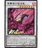 Amazon.co.jp: 遊戯王カード ブラック・ローズ・ドラゴン(イラスト違い