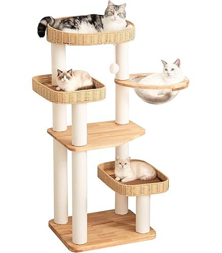Amazon | 【なになにLife】 2025 登場 キャットタワー 木製 大型