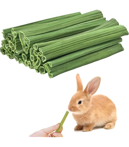 Amazon | ウサギ 噛むおもちゃ 40g パパイヤの葉の茎 小動物用の