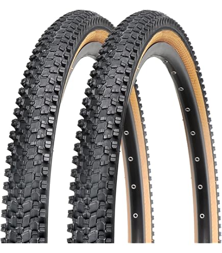 シュワルベ ビリーボンカーズ SCHWALBE シュワルベ [ BILLY BONKERS ビリーボンカーズ BLACK ］ 26