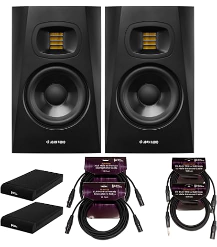 Amazon.co.jp: Adam Audio T10S 10インチ パワードスタジオサブ