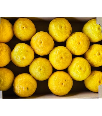 Amazon.co.jp: 国産 柚子 うらごし 100％ 500g 業務用 冷凍 ゆず