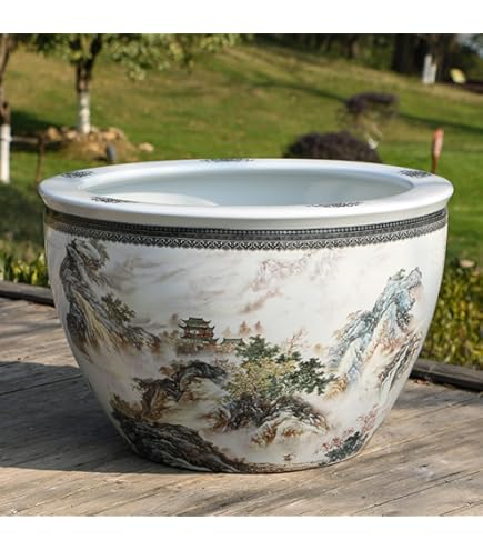 タイサンボク　黄斑入り　8号鉢つき　激レア❗ タイサンボク 黄斑入り 8号鉢つき 激レア❗