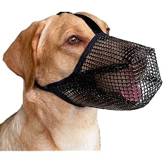 amazon dog muzzle