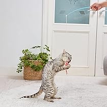 Amazon.co.jp: ペティオ (Petio) 猫用おもちゃ けりぐるみ de