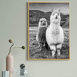 Amazon モダンポスターキャンバスアートペインティングアルパカアニマルプリントラマ黒と白の壁アート写真キッズルームホームデコレーション 60x80cmフレームレス ウォールステッカー オンライン通販