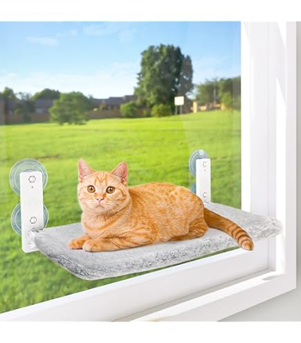 Pettycare Cat Window Perch Hammock - 4 Suction Cup Foldable Bed Holds 40lbs