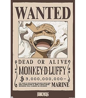 ワンピース　ルフィ海賊団　ポスター Amazon.co.jp: ワンピース - Netflix TV番組ポスター