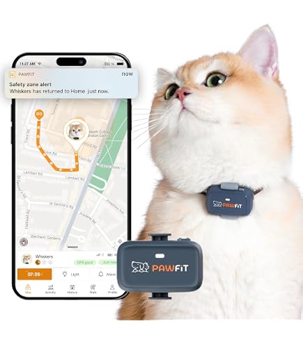 Amazon.co.jp: Tabcat V2 Tracker(メーカー 日本語取扱い説明書付) (白