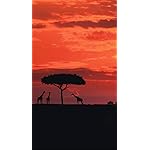 世界遺産 iPhoneSE/5s/5c/5(640×1136)壁紙 セレンゲティに昇る大きな太陽 世界遺産 iPhoneSE/5s/5c/5(640×1136)壁紙 セレンゲティに昇る大きな太陽