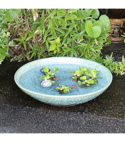 Amazon | 信楽焼 蹲 窯肌 つくばい（竹、柄杓付）【tu-0006】 しがらき