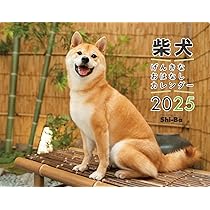 71gxbvj7SpL._AC_UL210_SR210,