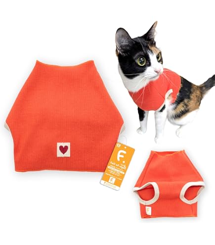 Amazon.co.jp: ウィンスタンレイキャット（ケンジントンキャット