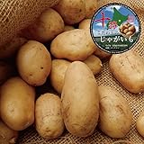 北海道産 十勝産 メークイン 越冬 5kg M/特M/L/2L/3Lサイズ混合