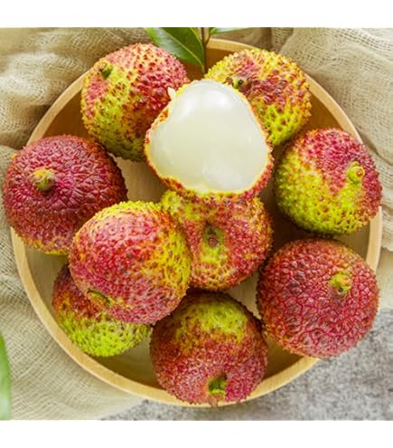 Amazon.co.jp: タイ産 フルーツ ポメロ 4kg (4-6玉) ソムオ― 輸入 新鮮